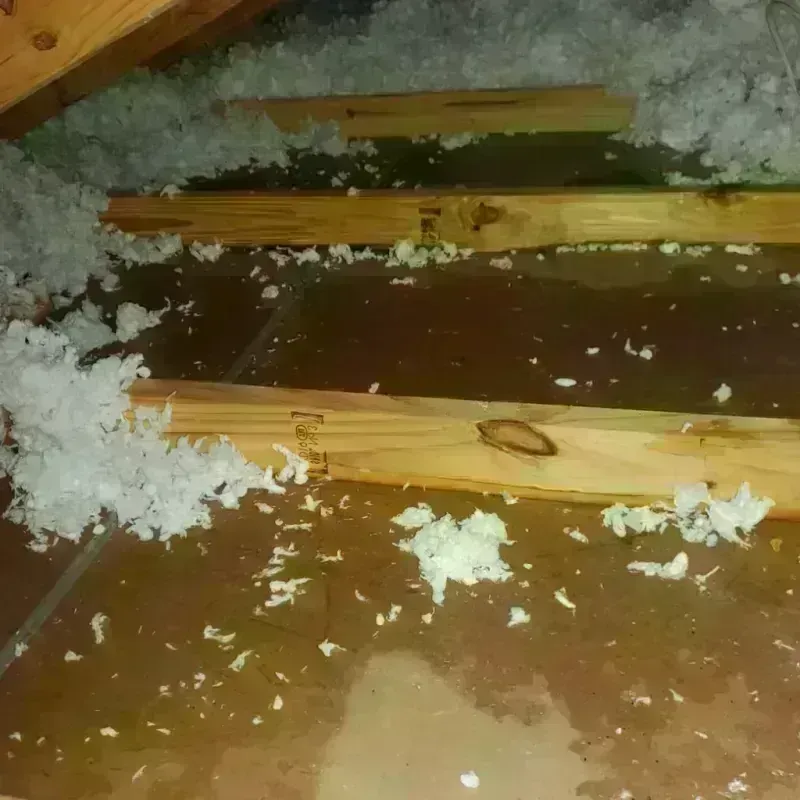 Attic Water Damage in Washington County, IL