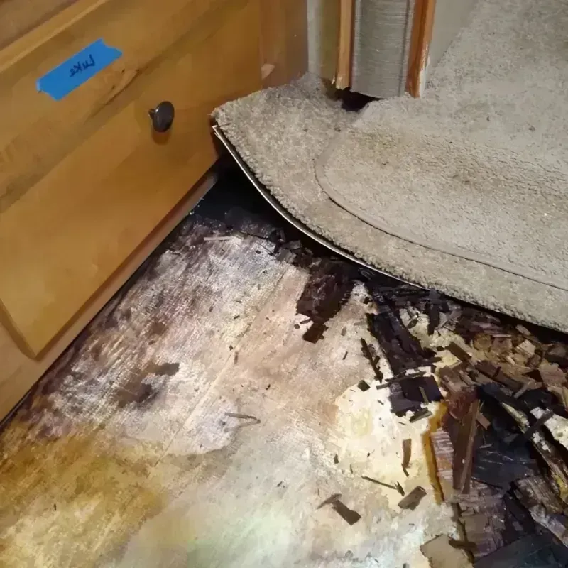 Wood Floor Water Damage in Washington County, IL